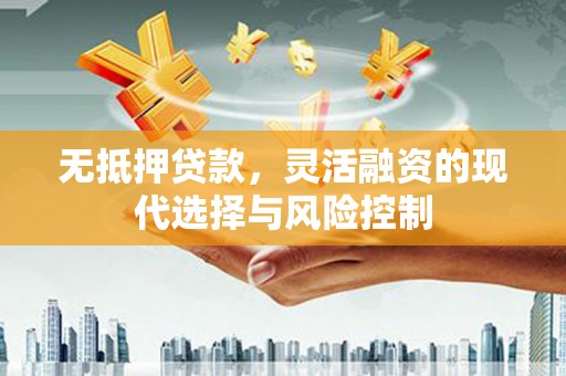 水林无抵押贷款，灵活融资的现代选择与风险控制
