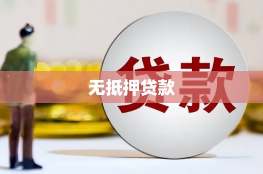 水林无抵押贷款