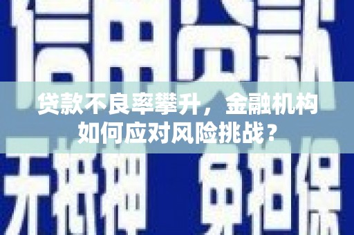 水林贷款不良率攀升，金融机构如何应对风险挑战？