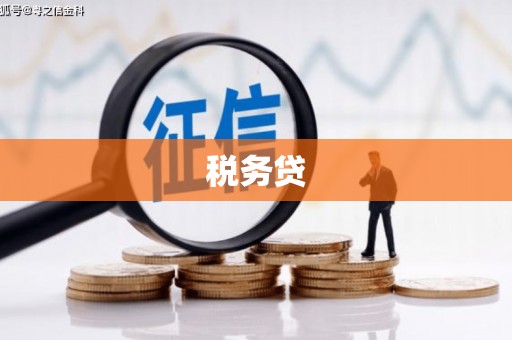 水林税务贷