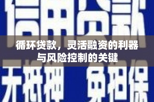 水林循环贷款，灵活融资的利器与风险控制的关键