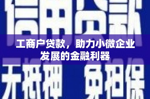 水林工商户贷款，助力小微企业发展的金融利器