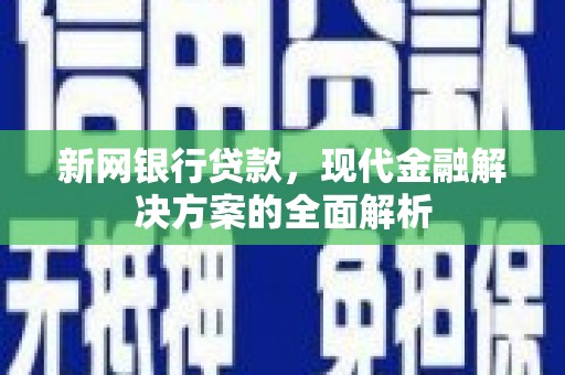 水林新网银行贷款，现代金融解决方案的全面解析
