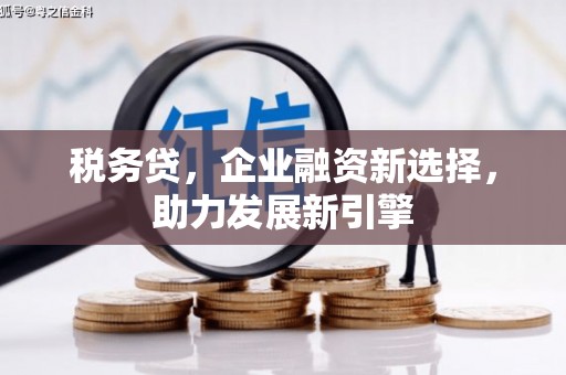 水林税务贷，企业融资新选择，助力发展新引擎