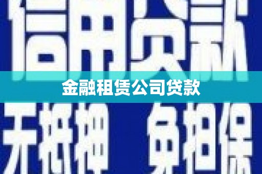 水林金融租赁公司贷款