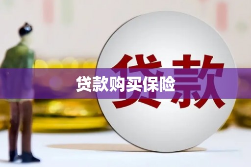 水林贷款购买保险