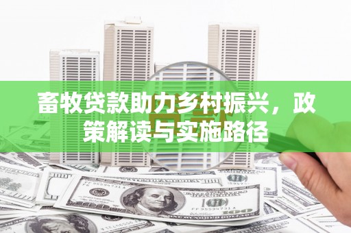 水林畜牧贷款助力乡村振兴，政策解读与实施路径