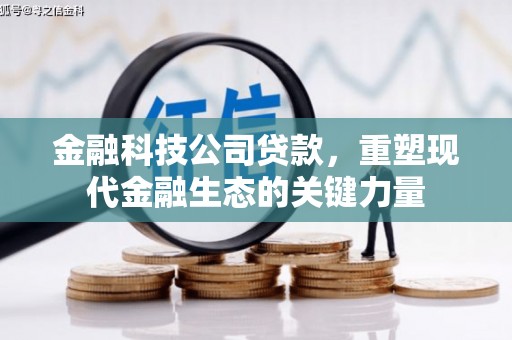 水林金融科技公司贷款，重塑现代金融生态的关键力量