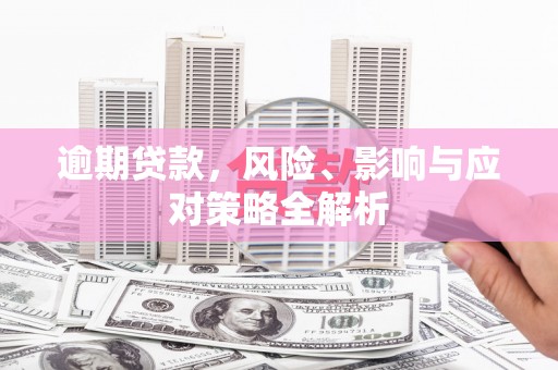 水林逾期贷款，风险、影响与应对策略全解析