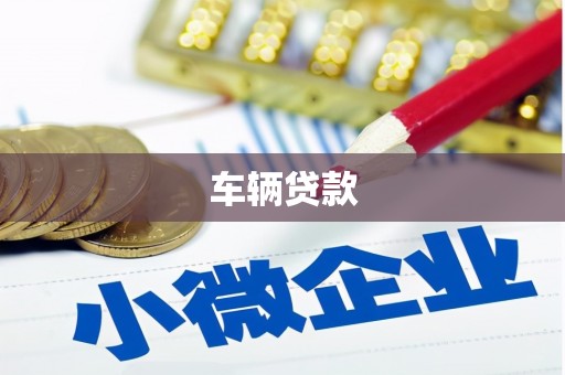 水林车辆贷款