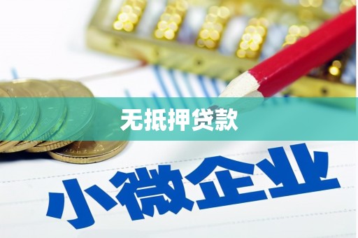 水林无抵押贷款