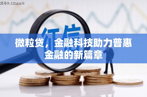 水林微粒贷，金融科技助力普惠金融的新篇章