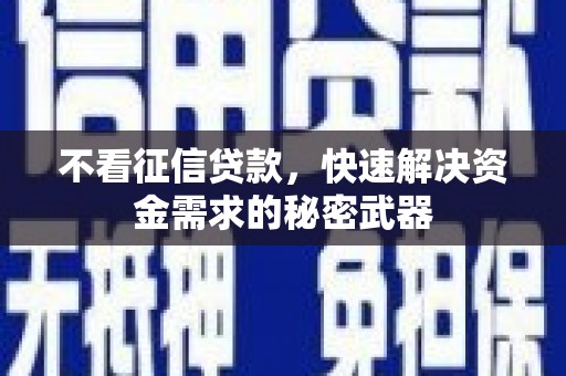 水林不看征信贷款，快速解决资金需求的秘密武器