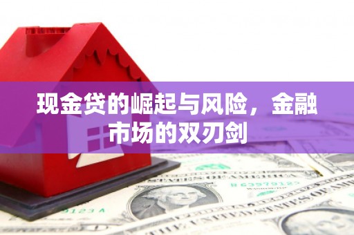 水林现金贷的崛起与风险，金融市场的双刃剑