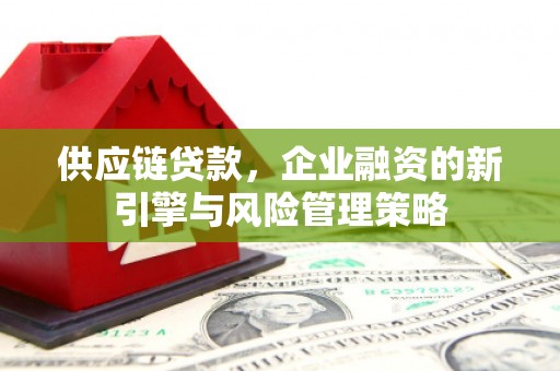 水林供应链贷款，企业融资的新引擎与风险管理策略
