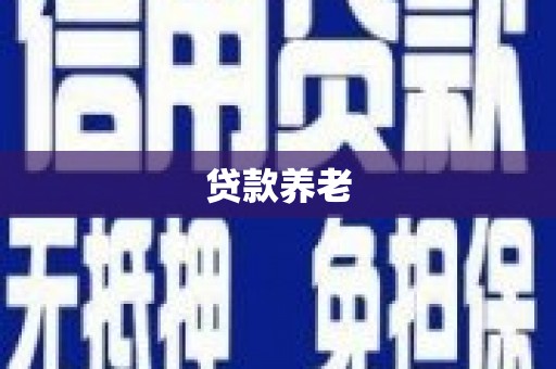 水林贷款养老