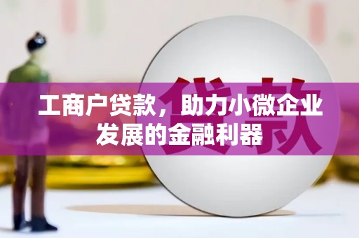 水林工商户贷款，助力小微企业发展的金融利器