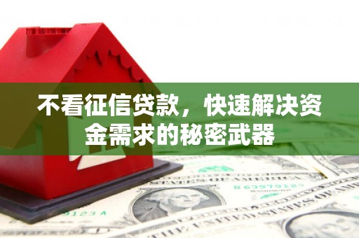水林不看征信贷款，快速解决资金需求的秘密武器