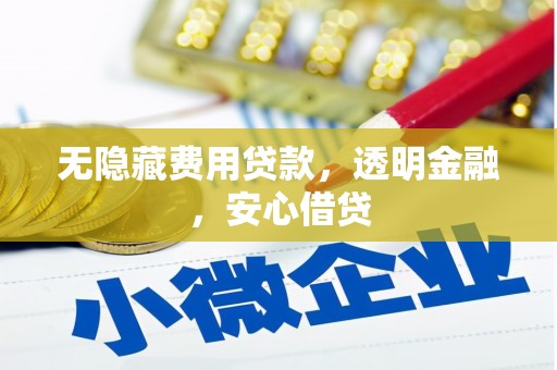 水林无隐藏费用贷款，透明金融，安心借贷