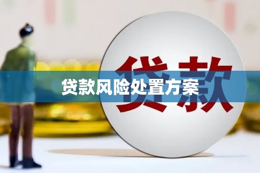 水林贷款风险处置方案