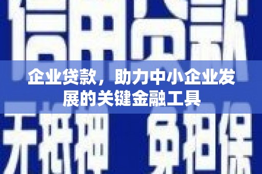 水林企业贷款，助力中小企业发展的关键金融工具