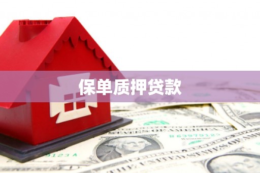 水林保单质押贷款