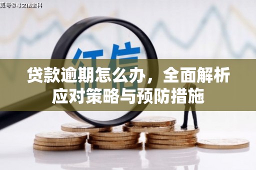 水林贷款逾期怎么办，全面解析应对策略与预防措施