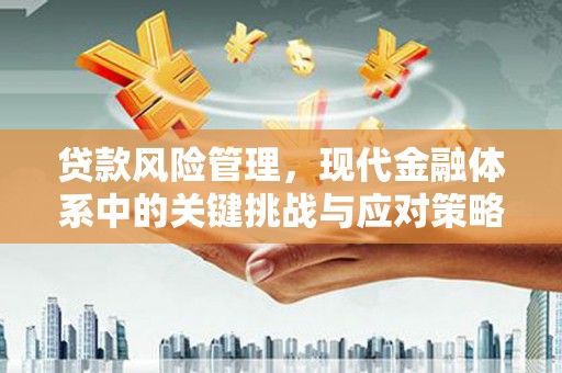 水林贷款风险管理，现代金融体系中的关键挑战与应对策略