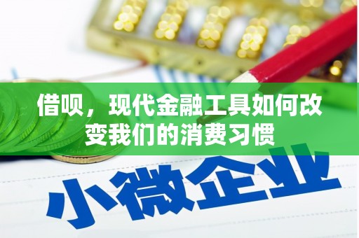 水林借呗，现代金融工具如何改变我们的消费习惯
