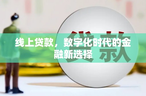 水林线上贷款，数字化时代的金融新选择