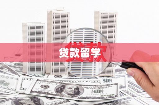 水林贷款留学