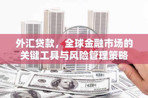 水林外汇贷款，全球金融市场的关键工具与风险管理策略