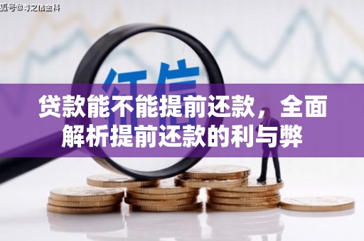 水林贷款能不能提前还款，全面解析提前还款的利与弊