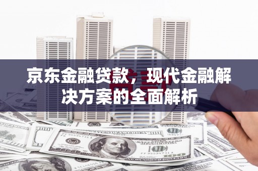 水林京东金融贷款，现代金融解决方案的全面解析