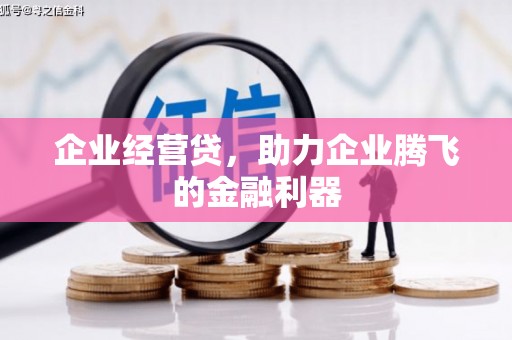 水林企业经营贷，助力企业腾飞的金融利器