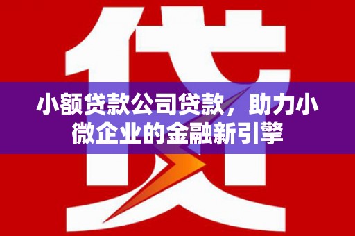 水林小额贷款公司贷款，助力小微企业的金融新引擎