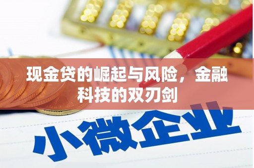 水林现金贷的崛起与风险，金融科技的双刃剑