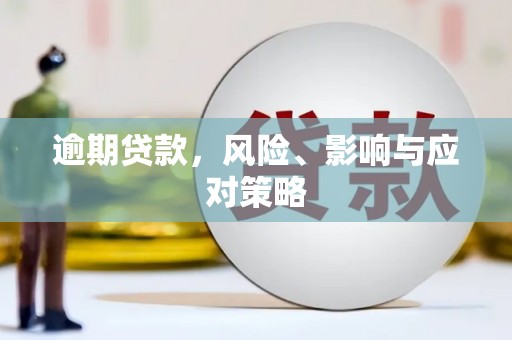 水林逾期贷款，风险、影响与应对策略