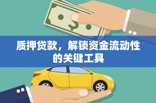 水林质押贷款，解锁资金流动性的关键工具