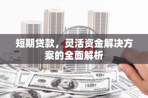 水林短期贷款，灵活资金解决方案的全面解析