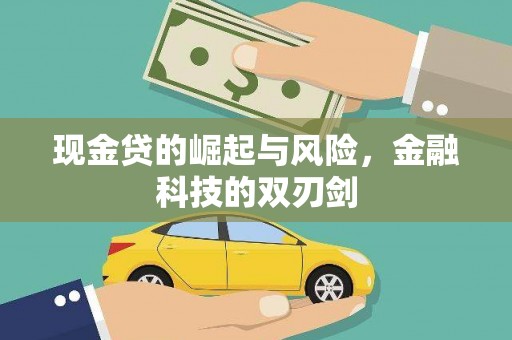 水林现金贷的崛起与风险，金融科技的双刃剑
