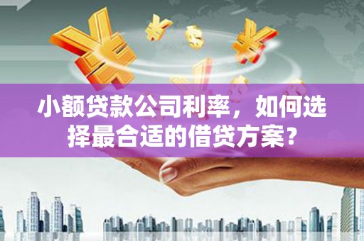 水林小额贷款公司利率，如何选择最合适的借贷方案？