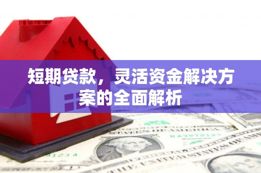 水林短期贷款，灵活资金解决方案的全面解析