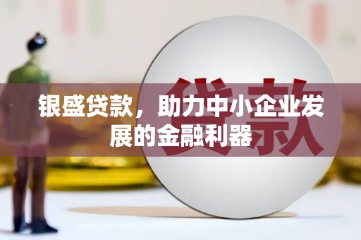水林银盛贷款，助力中小企业发展的金融利器