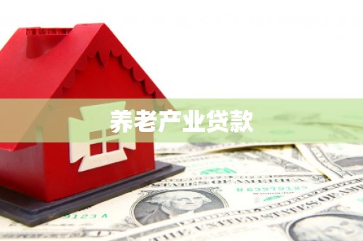 水林养老产业贷款