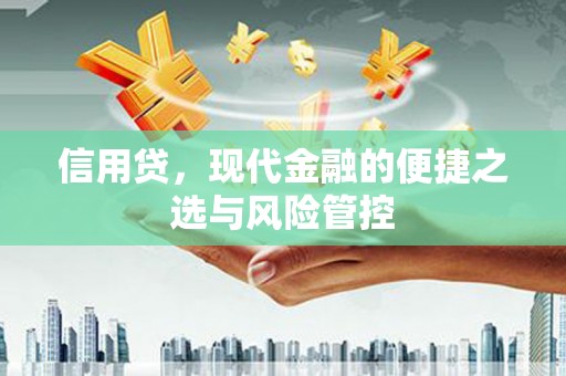 水林信用贷，现代金融的便捷之选与风险管控
