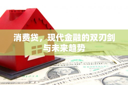 水林消费贷，现代金融的双刃剑与未来趋势