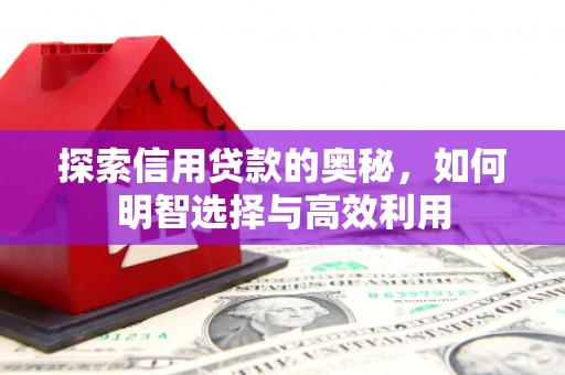 水林探索信用贷款的奥秘，如何明智选择与高效利用