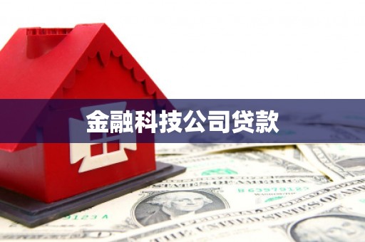 水林金融科技公司贷款