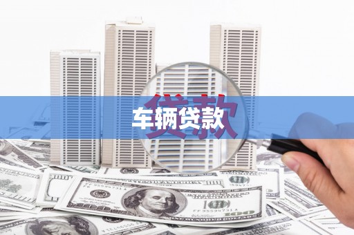水林车辆贷款